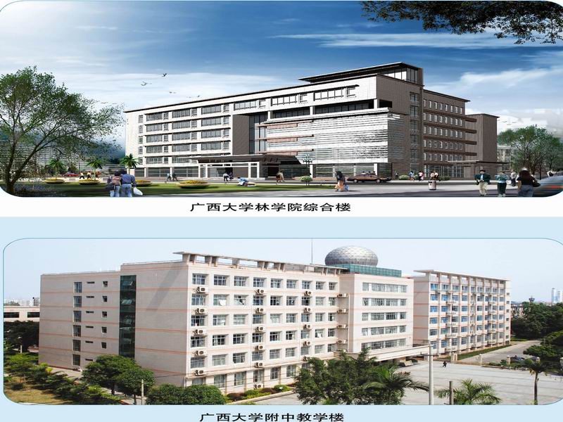 廣西大學(xué)林學(xué)院綜合樓、廣西大學(xué)附中教學(xué)樓